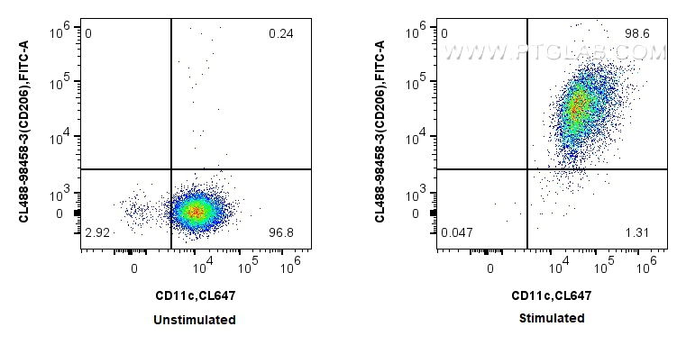FC experiment of human PBMCs using CL488-98458-3 FC experiment of human PBMCs using CL488-98458-3