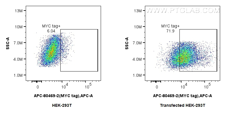 FC experiment of Transfected HEK-293T using APC-80469-2