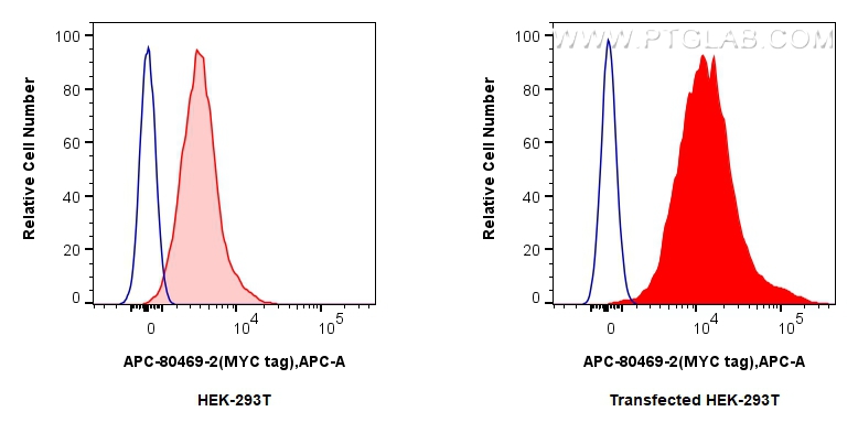 FC experiment of Transfected HEK-293T using APC-80469-2