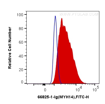 FC experiment of HT-29 using 66825-1-Ig