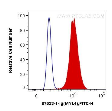 FC experiment of C2C12 using 67533-1-Ig (same clone as 67533-1-PBS)