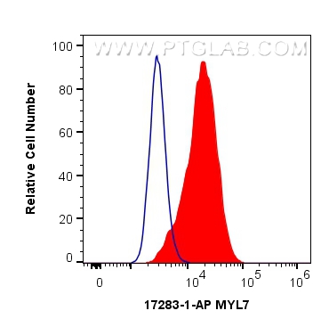 FC experiment of C2C12 using 17283-1-AP