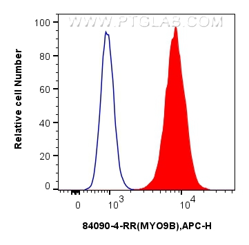 FC experiment of A431 using 84090-4-RR