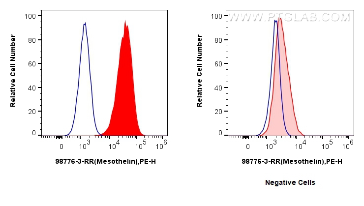 FC experiment of HeLa using 98776-3-RR (same clone as 98776-3-PBS) FC experiment of HeLa using 98776-3-RR (same clone as 98776-3-PBS)