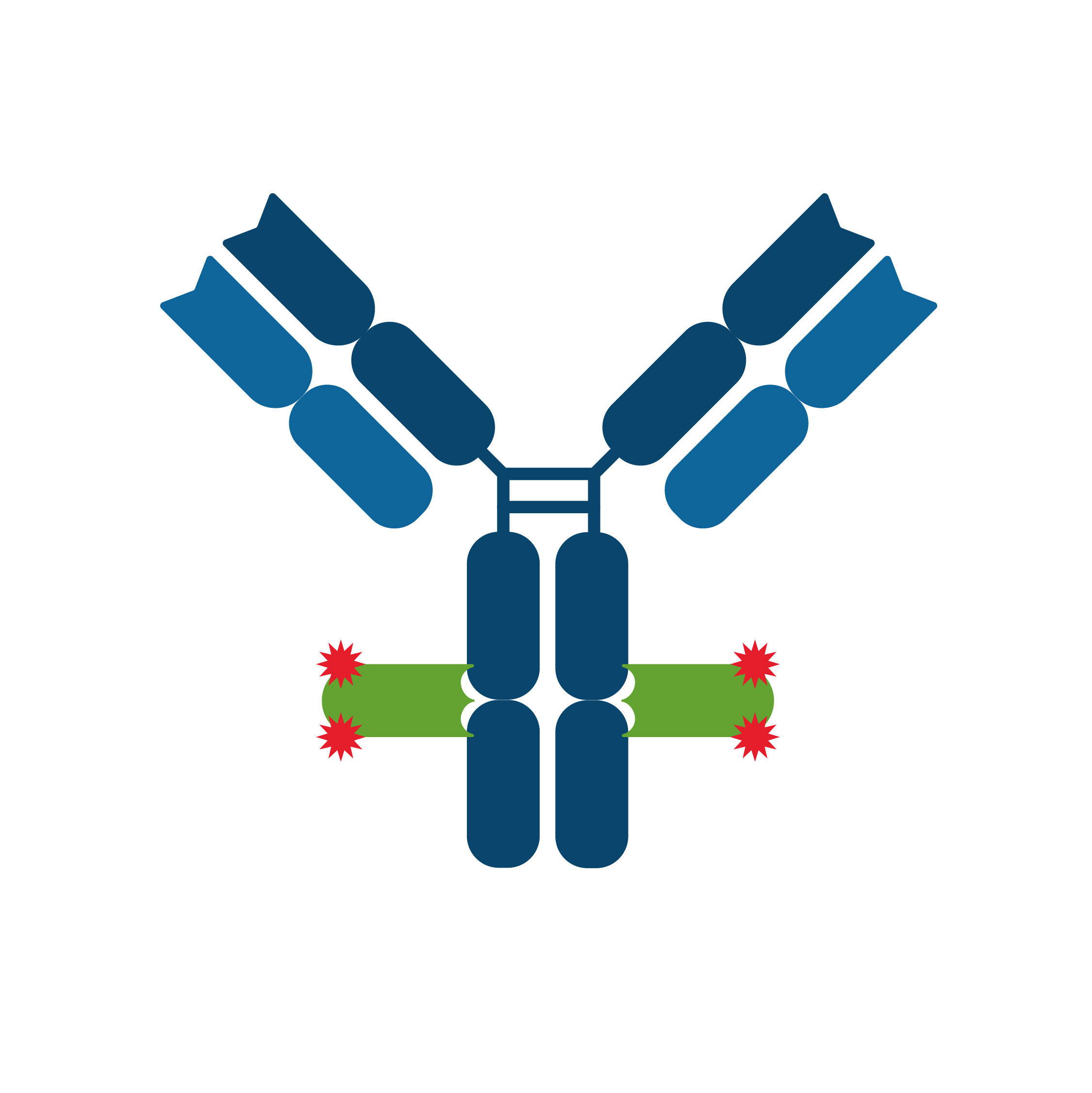 Schematic representation of anti-mouse IgG2a Nano-Secondary binding to its target. Mouse IgG2a primary antibody (grey) is bound with two identical monoclonal mouse IgG2a Fc- specific Nanobody molecules (green). In total, 4 fluorophores (red stars) label the mouse IgG2a primary antibody.