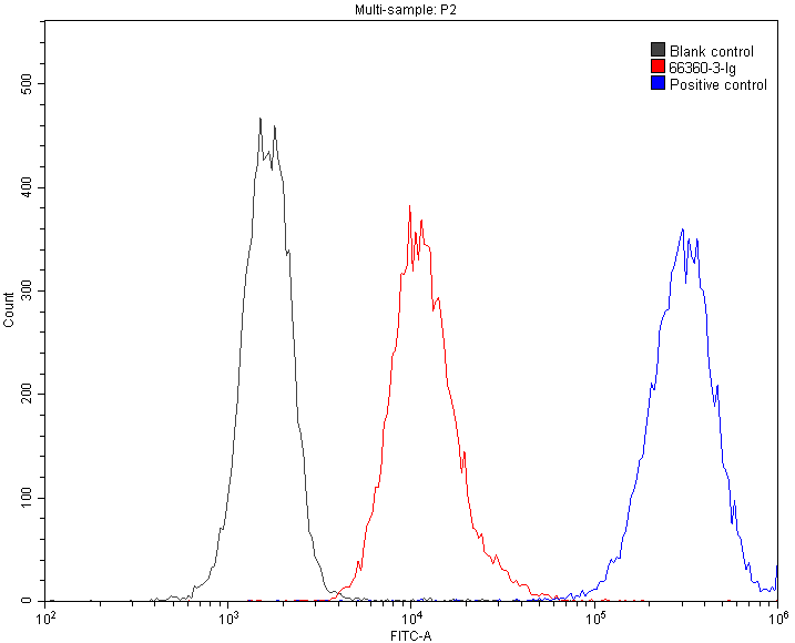 FC experiment of Jurkat using 66360-3-Ig (same clone as 66360-3-PBS)