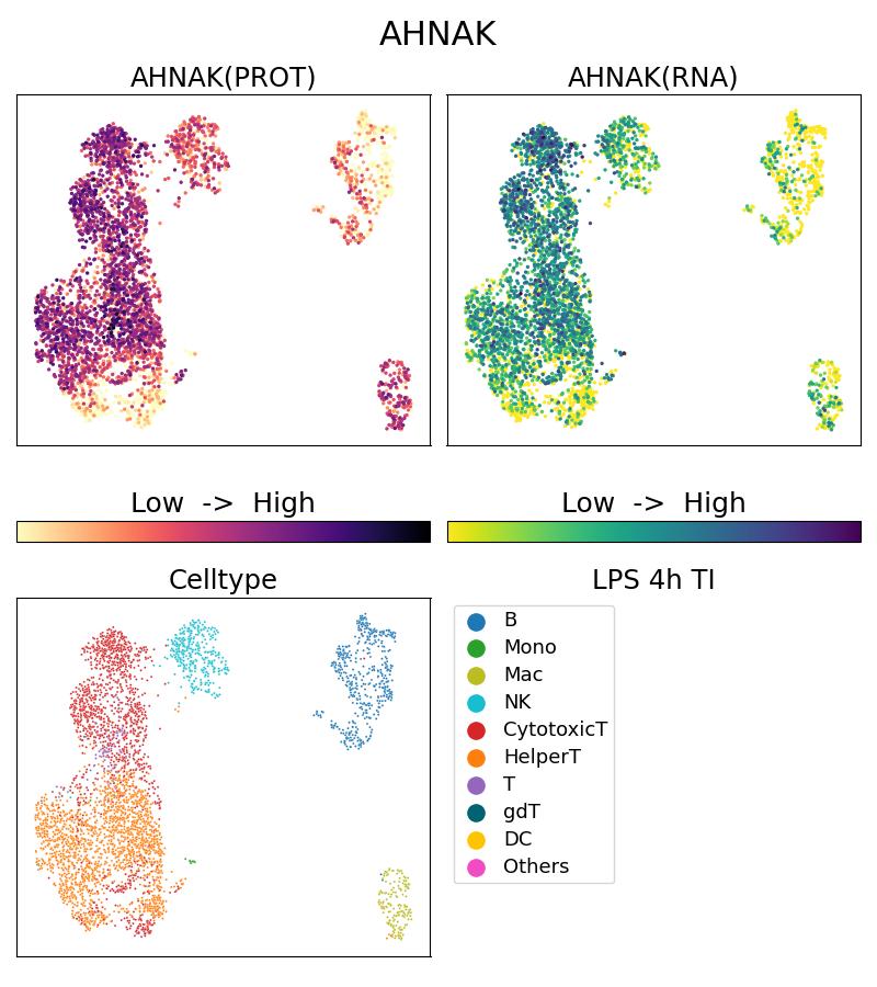 Single Cell Sequencing experiment G16637-1-5C on PBMC treated with 4hr LPS + TI