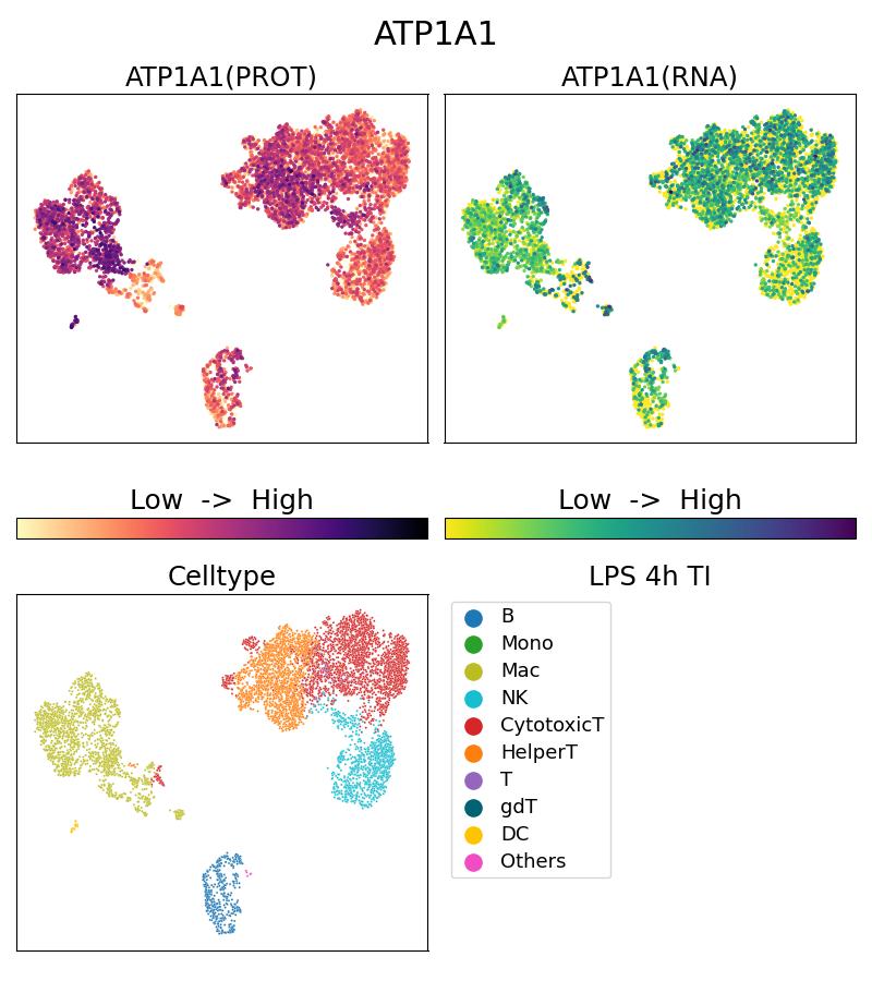 Single Cell Sequencing experiment G14418-1-5C on PBMC treated with 4hr LPS + TI