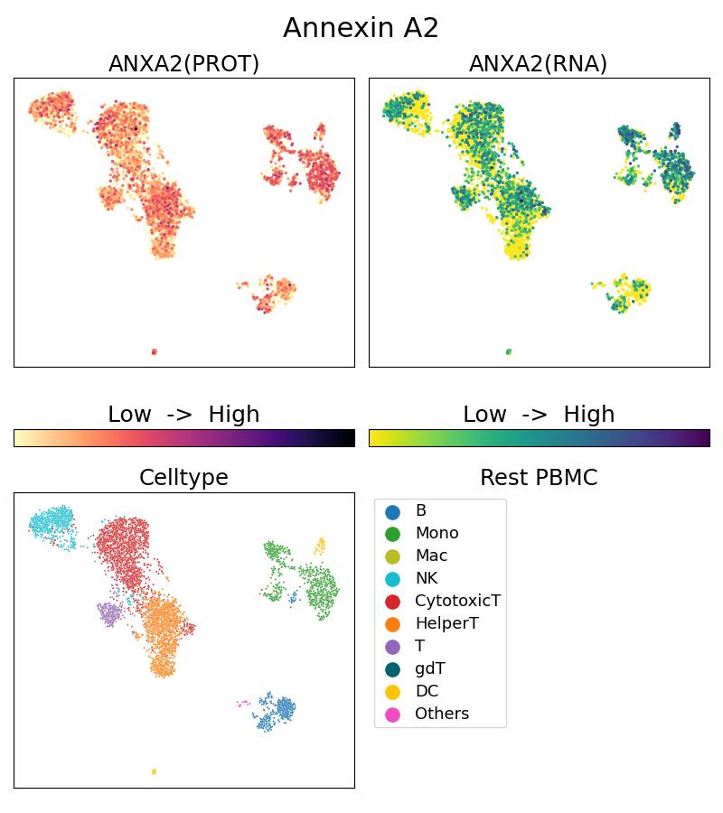 Single Cell Sequencing experiment G66035-1-5C on Resting PBMC