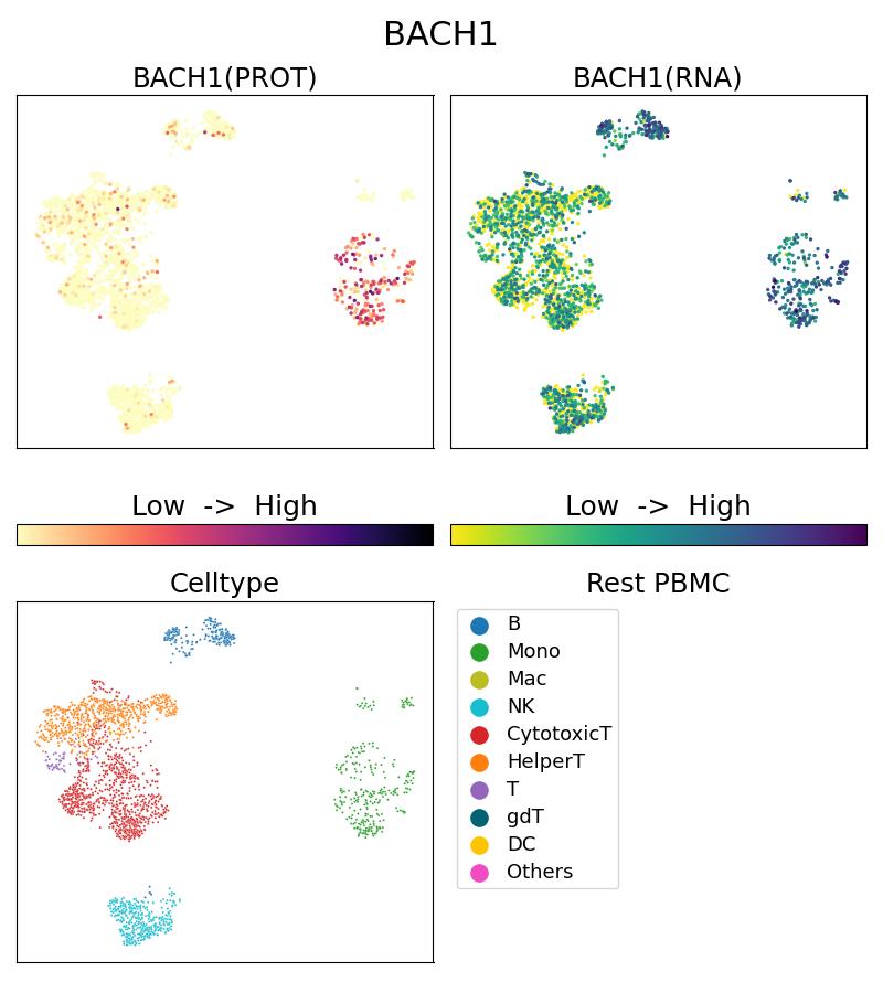 Single Cell Sequencing experiment G66762-1-5C on Resting PBMC