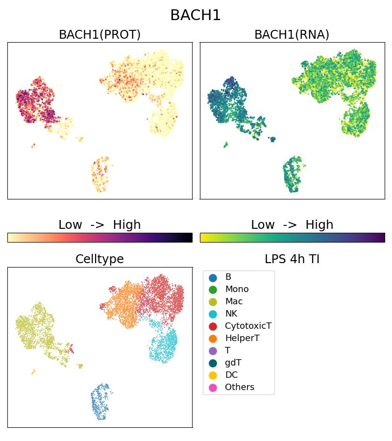 Single Cell Sequencing experiment G66762-1-5C on PBMC treated with 4hr LPS + TI