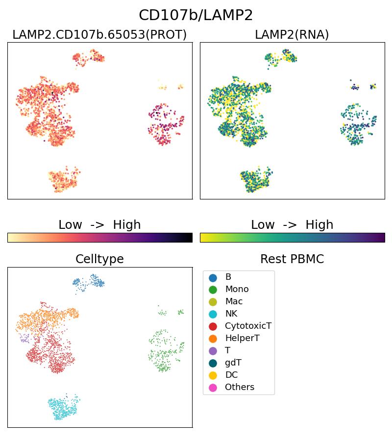 Single Cell Sequencing experiment G65053-1-5C on Resting PBMC