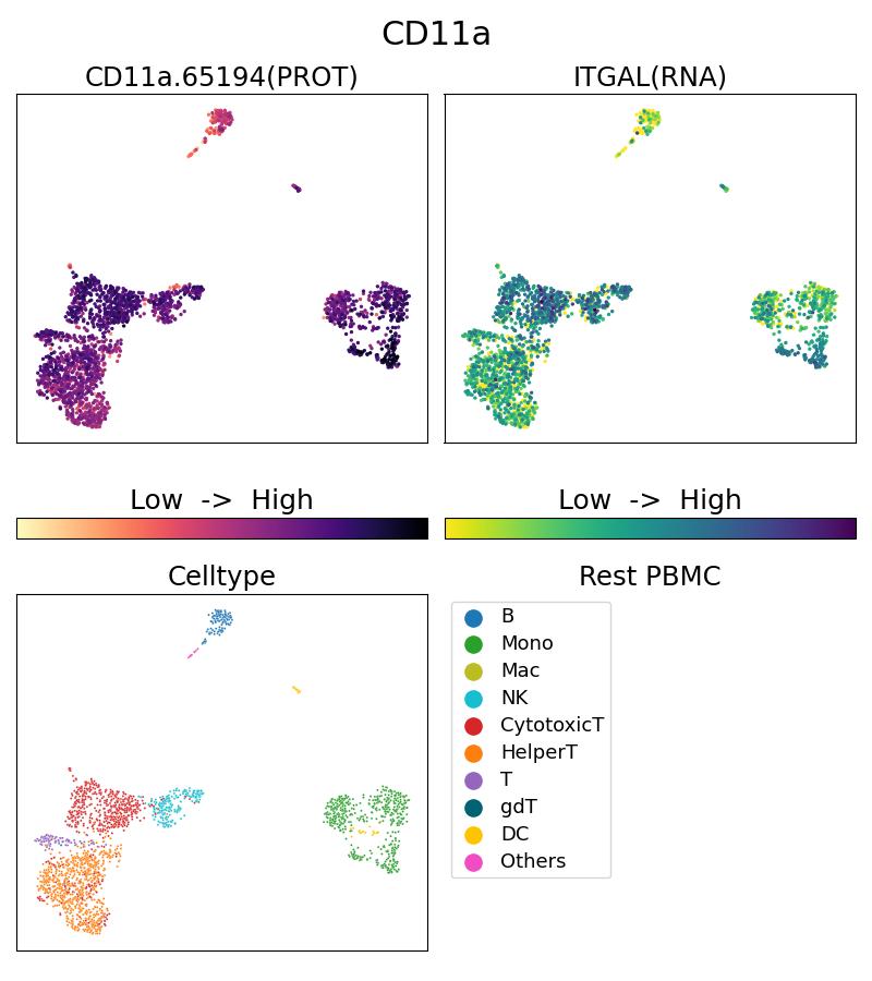 Single Cell Sequencing experiment G65194-1-5C on Resting PBMC