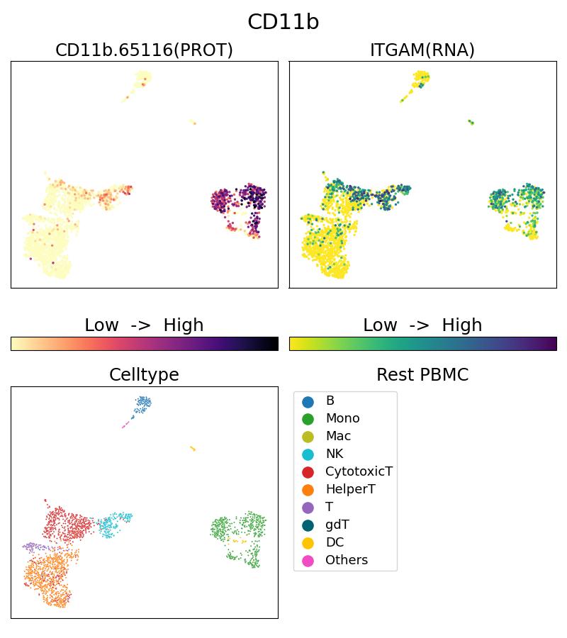 Single Cell Sequencing experiment G65116-1-5C on Resting PBMC