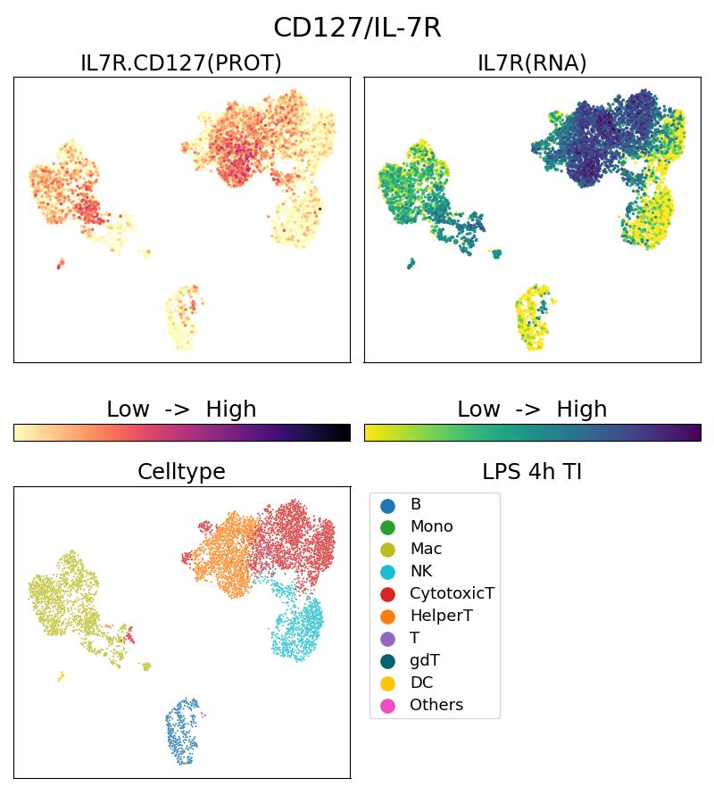 Single Cell Sequencing experiment G17626-1-5C on PBMC treated with 4hr LPS + TI