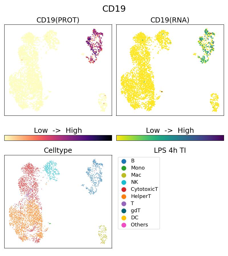 Single Cell Sequencing experiment G65110-1-5C on PBMC treated with 4hr LPS + TI