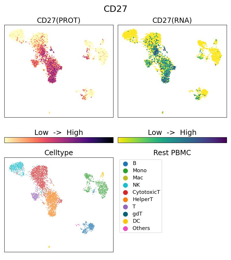 Single Cell Sequencing experiment G66308-1-5C on Resting PBMC