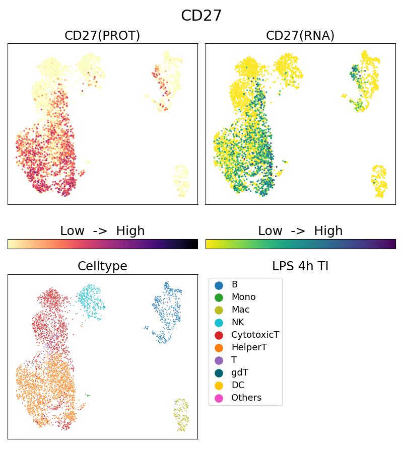 Single Cell Sequencing experiment G66308-1-5C on PBMC treated with 4hr LPS + TI