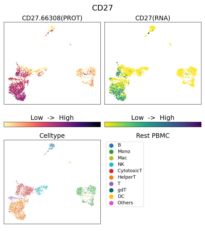 Single Cell Sequencing experiment G66308-1-5C on Resting PBMC