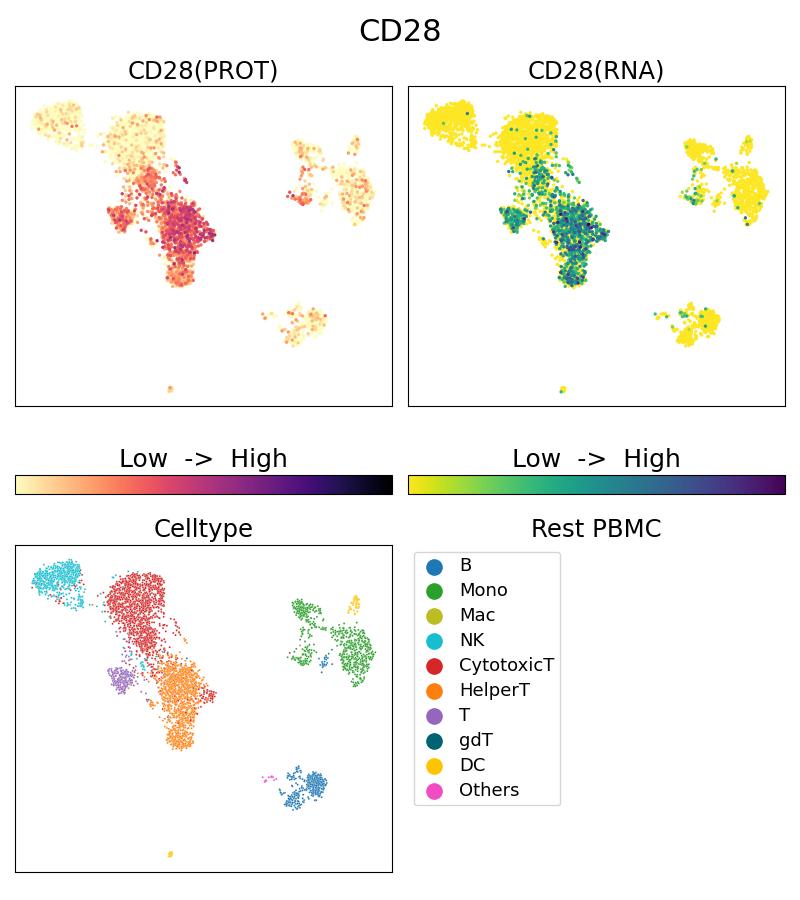 Single Cell Sequencing experiment G65099-1-5C on Resting PBMC