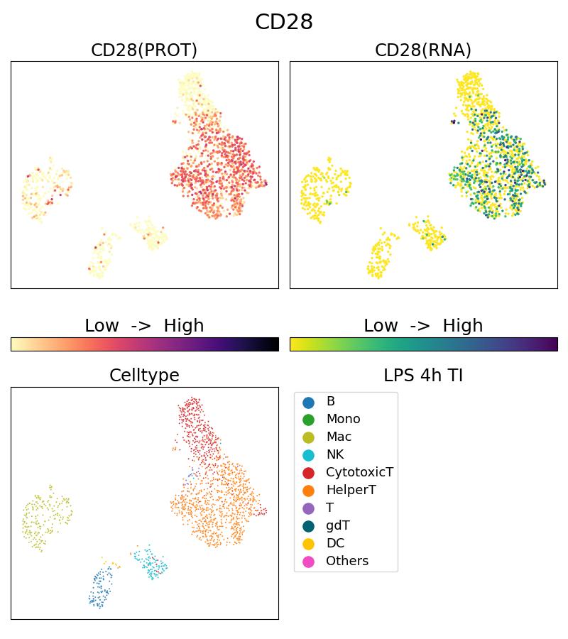 Single Cell Sequencing experiment G65099-1-5C on PBMC treated with 4hr LPS + TI