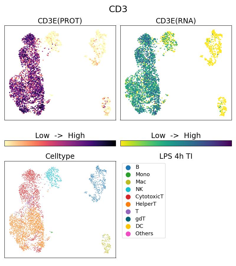 Single Cell Sequencing experiment G65133-1-5C on PBMC treated with 4hr LPS + TI