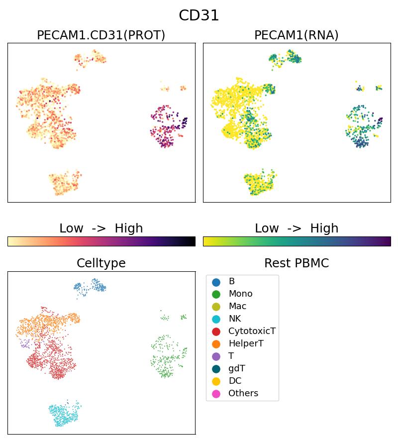 Single Cell Sequencing experiment G66065-2-5C on Resting PBMC