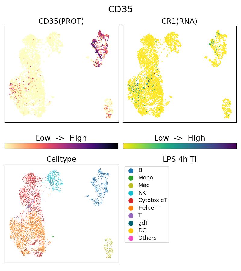 Single Cell Sequencing experiment G65254-1-5C on PBMC treated with 4hr LPS + TI