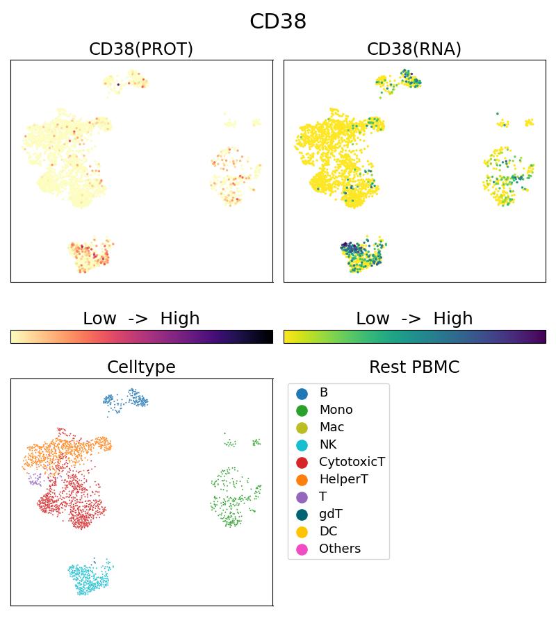 Single Cell Sequencing experiment G65111-1-5C on Resting PBMC