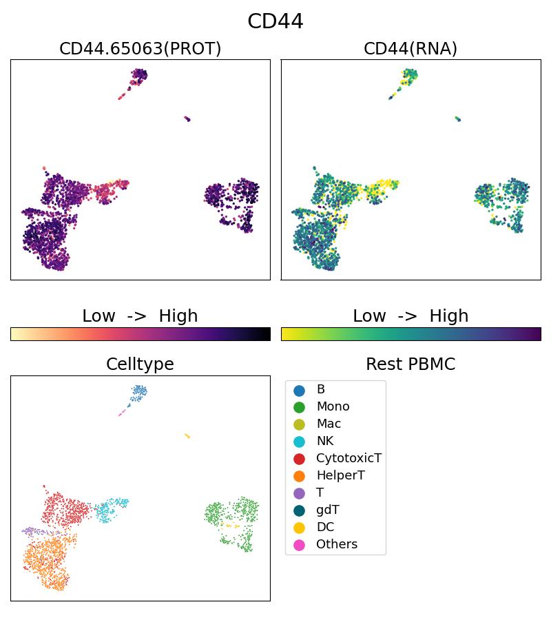 Single Cell Sequencing experiment G65063-1-5C on Resting PBMC