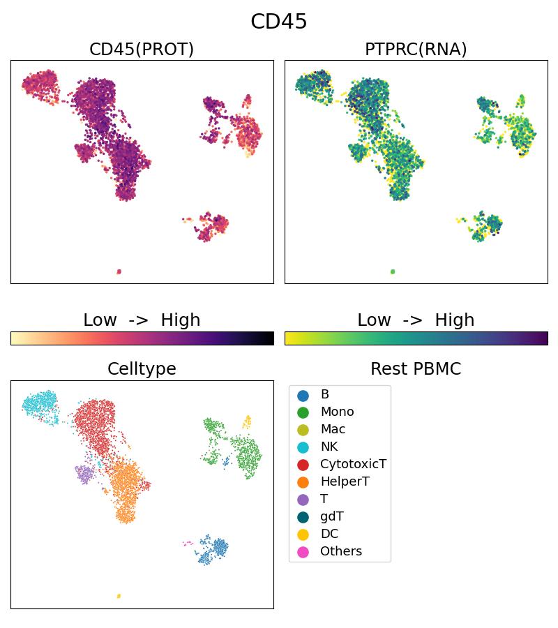 Single Cell Sequencing experiment G65109-1-5C on Resting PBMC