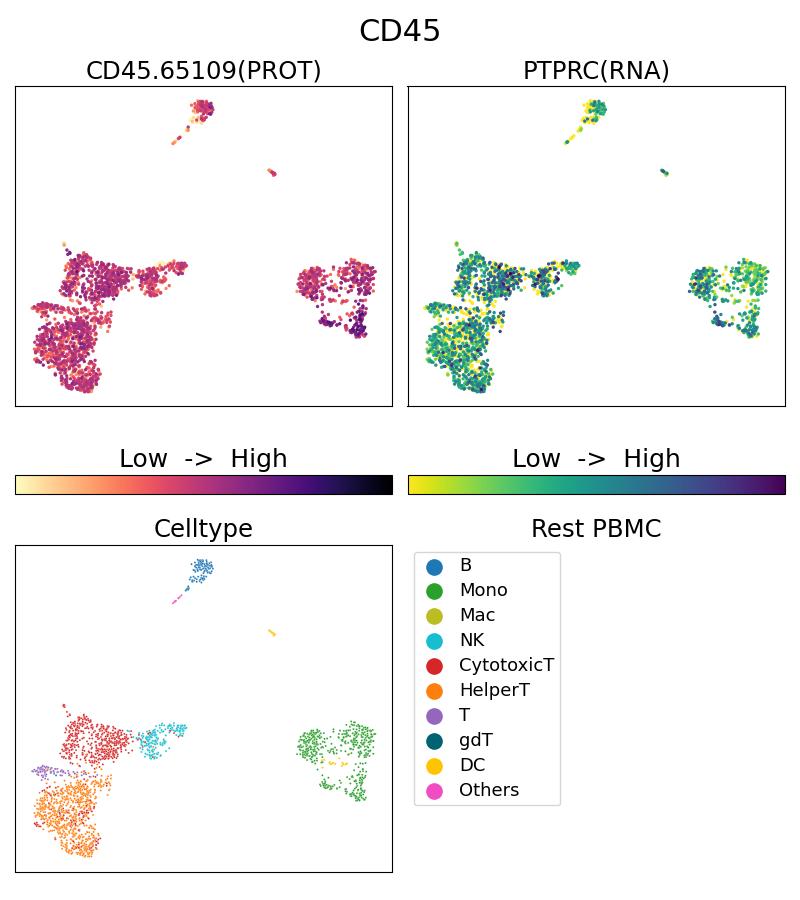 Single Cell Sequencing experiment G65109-1-5C on Resting PBMC