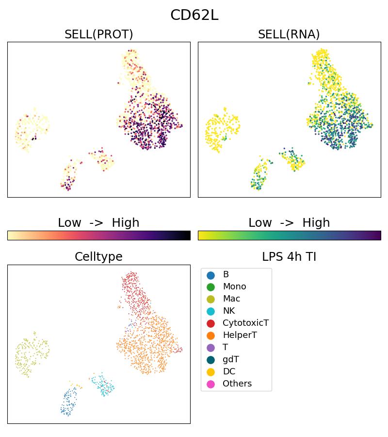 Single Cell Sequencing experiment G65167-1-5C on PBMC treated with 4hr LPS + TI