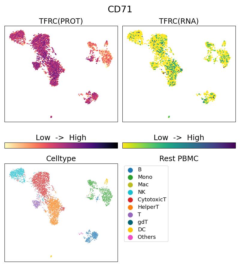 Single Cell Sequencing experiment G66180-1-5C on Resting PBMC