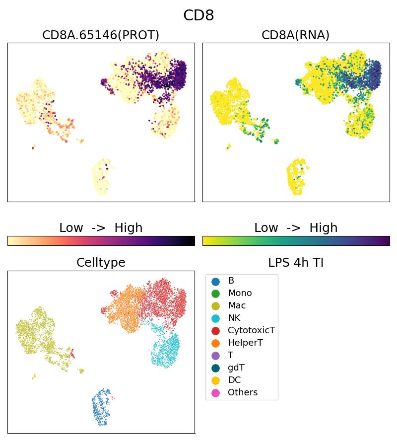 Single Cell Sequencing experiment G65146-1-5C on PBMC treated with 4hr LPS + TI