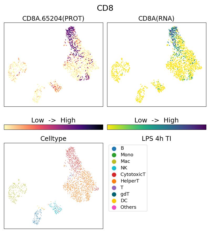 Single Cell Sequencing experiment G65204-1-5C on PBMC treated with 4hr LPS + TI