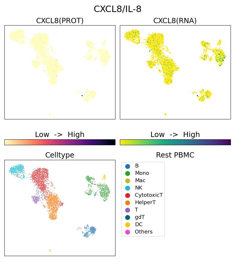 Single Cell Sequencing experiment G17038-1-5C on Resting PBMC