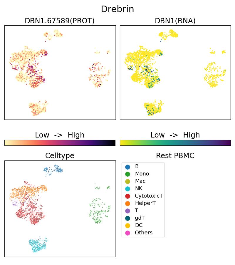 Single Cell Sequencing experiment G67589-1-5C on Resting PBMC