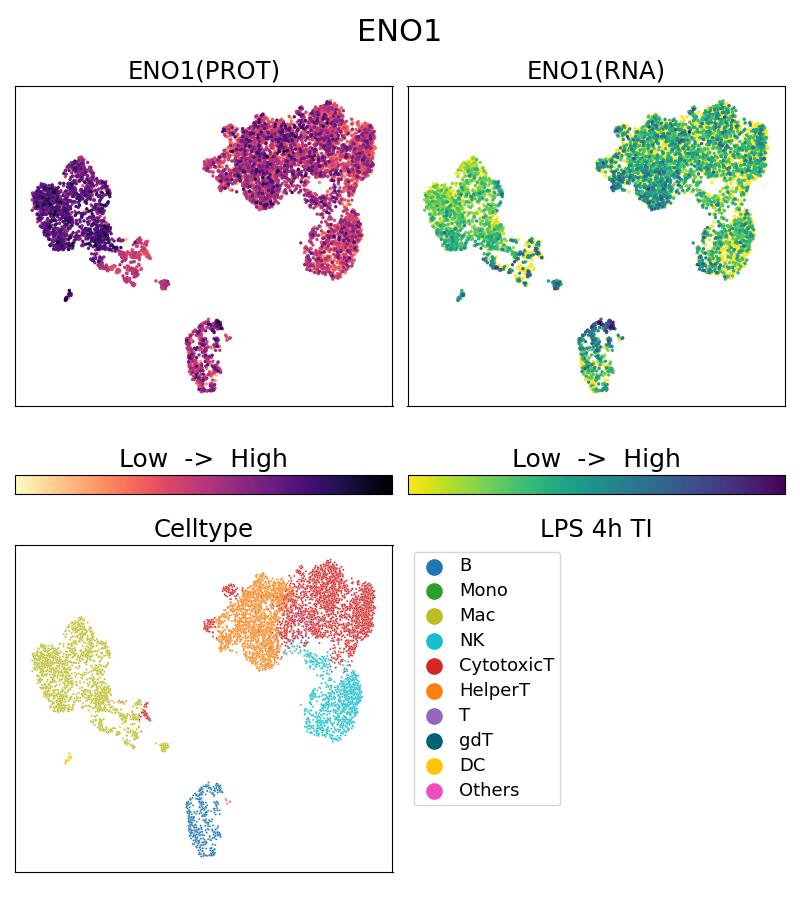 Single Cell Sequencing experiment G81478-1-5C on PBMC treated with 4hr LPS + TI