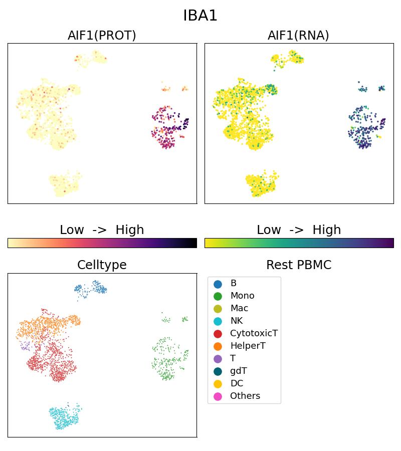 Single Cell Sequencing experiment G10904-1-5C on Resting PBMC