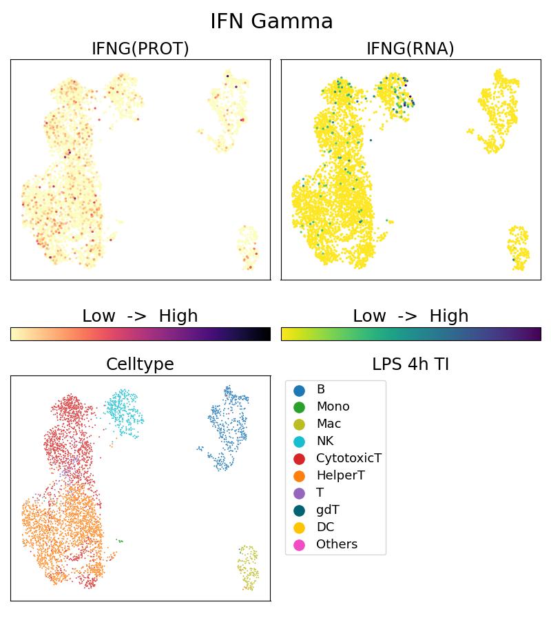 Single Cell Sequencing experiment G69007-1-5C on PBMC treated with 4hr LPS + TI