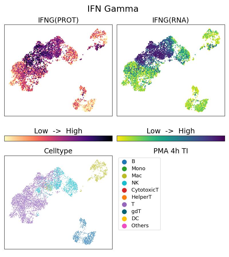 Single Cell Sequencing experiment G69001-1-5C on PBMC treated with 4hr PMA + TI