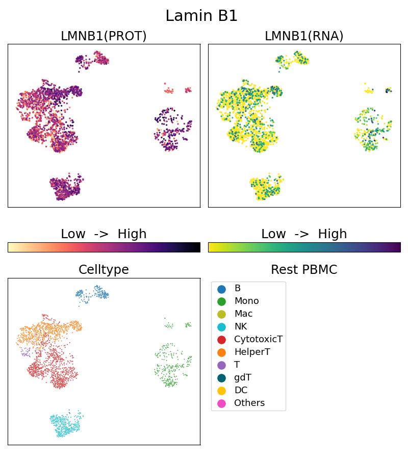 Single Cell Sequencing experiment G66095-1-5C on Resting PBMC