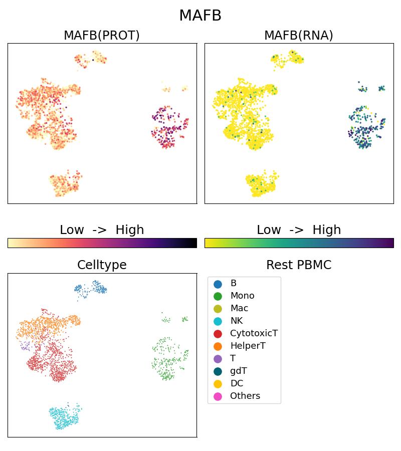 Single Cell Sequencing experiment G20189-1-5C on Resting PBMC