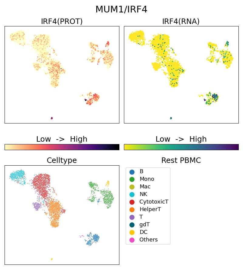 Single Cell Sequencing experiment G11247-2-5C on Resting PBMC