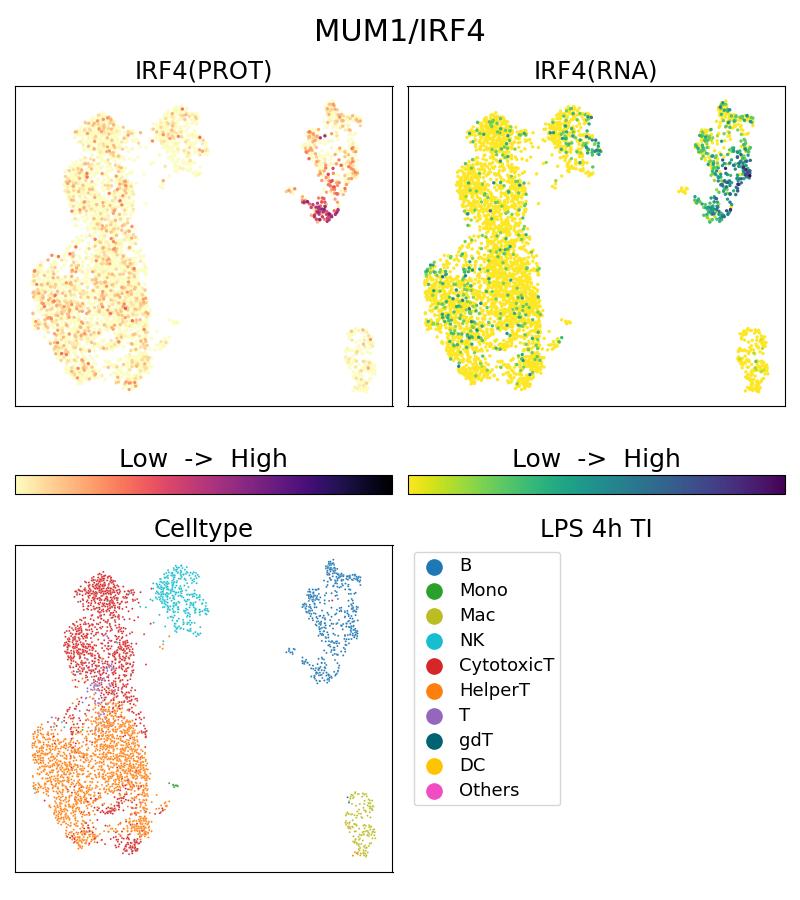 Single Cell Sequencing experiment G11247-2-5C on PBMC treated with 4hr LPS + TI