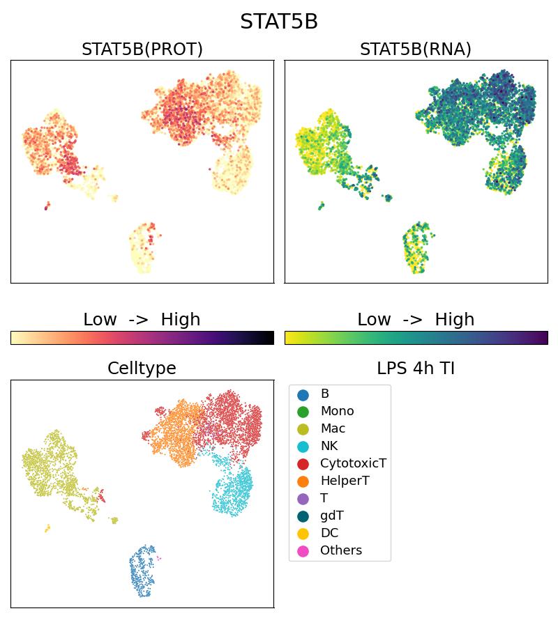 Single Cell Sequencing experiment G66427-1-5C on PBMC treated with 4hr LPS + TI