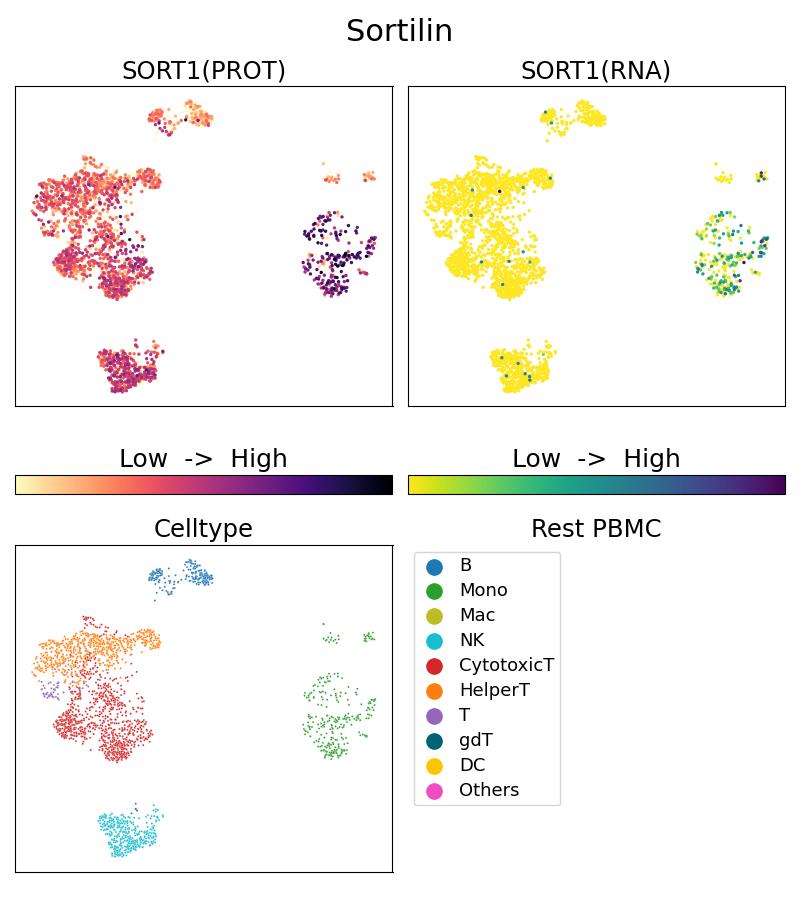 Single Cell Sequencing experiment G68007-1-5C on Resting PBMC