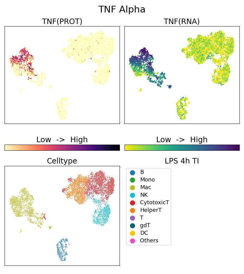 Single Cell Sequencing experiment G60291-1-5C on PBMC treated with 4hr LPS + TI