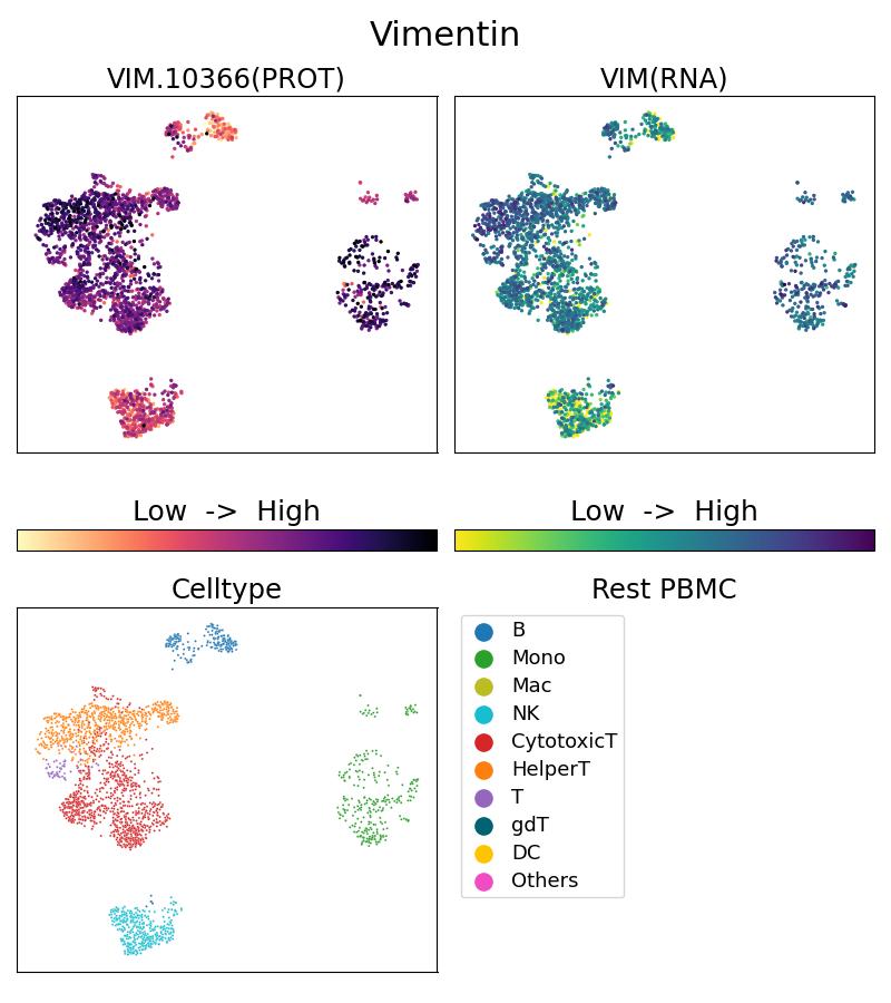 Single Cell Sequencing experiment G10366-1-5C on Resting PBMC